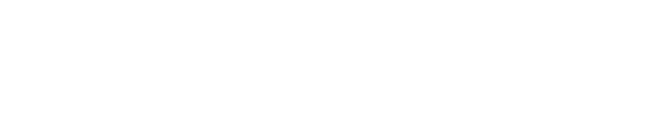 关于kiwi的banner图片